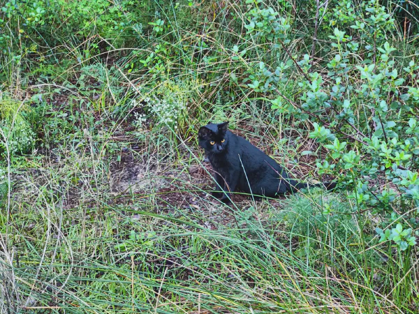 2025 12 17 Valencia 13