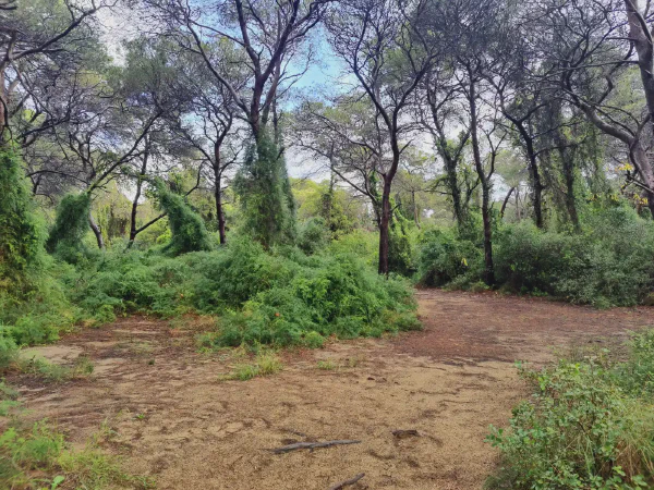 2025 12 17 Valencia 1