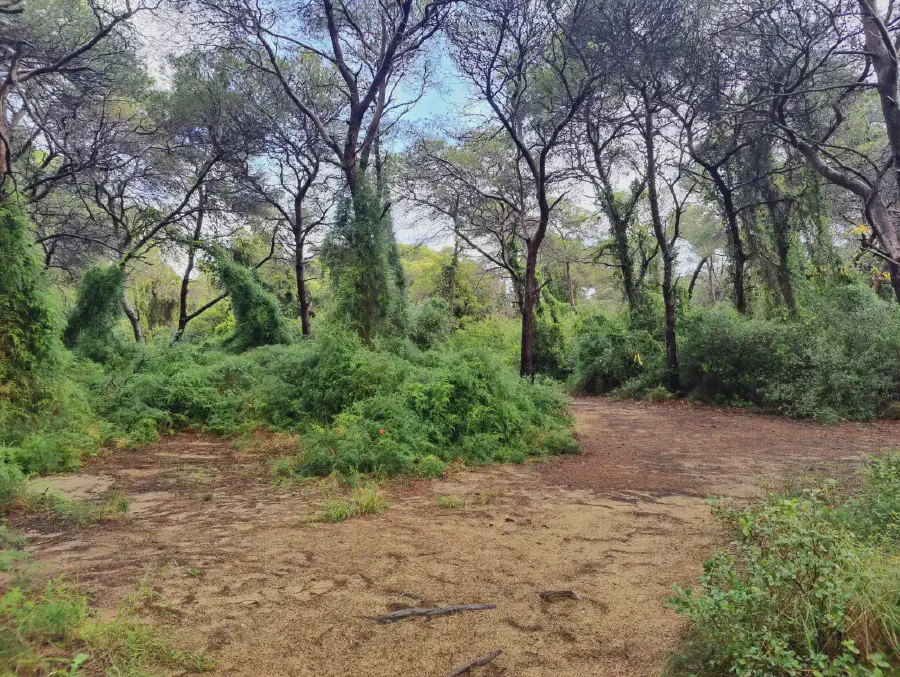 2025 12 17 Valencia 1