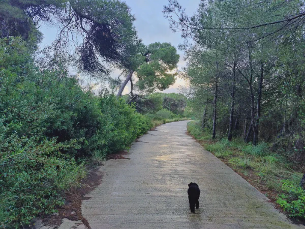 2025 12 17 Valencia 4