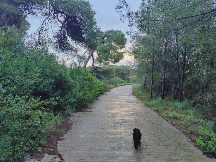 2025 12 17 Valencia 4