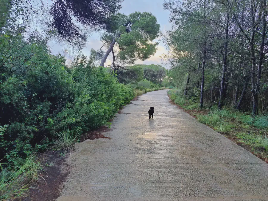 2025 12 17 Valencia 5