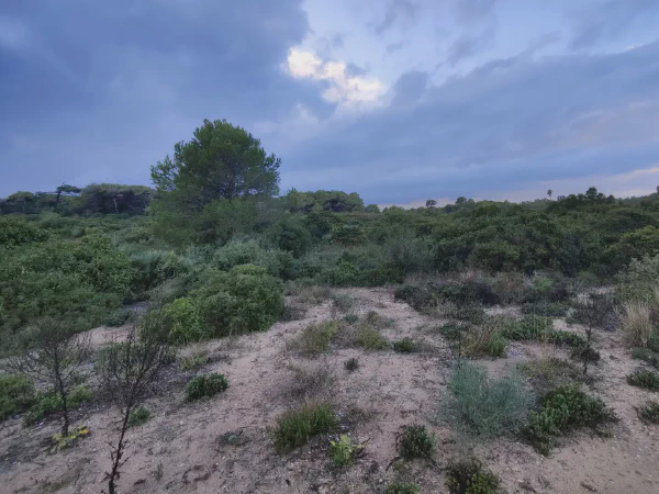 2025 12 17 Valencia 6