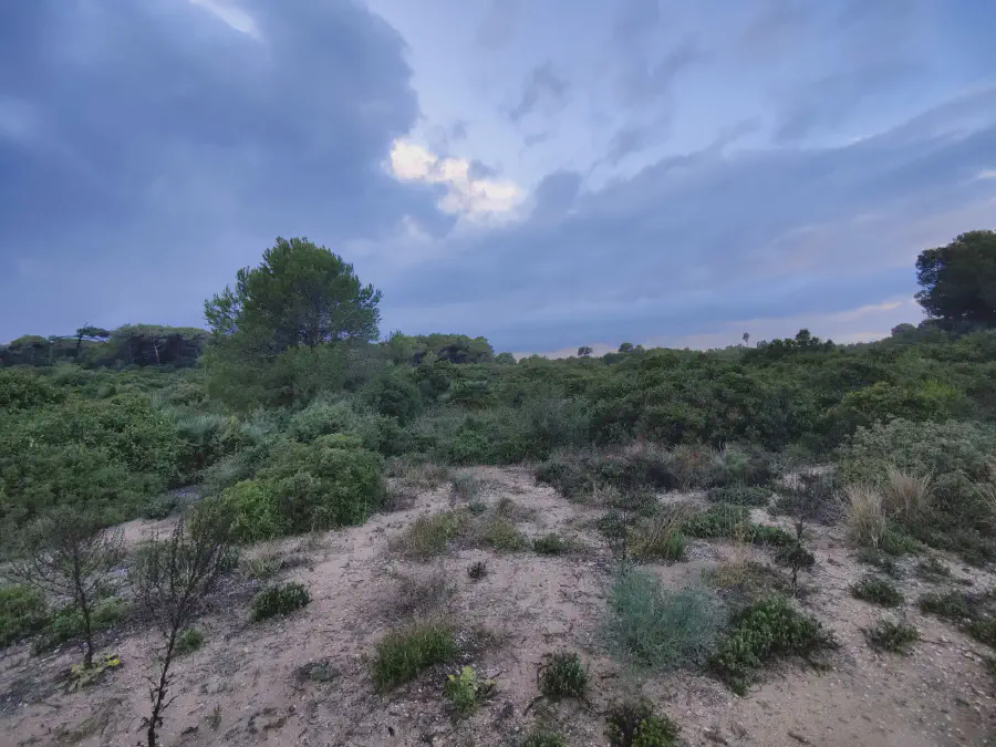 2025 12 17 Valencia 6