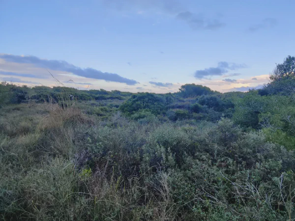 2025 12 17 Valencia 7