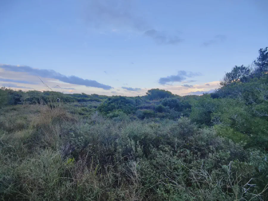 2025 12 17 Valencia 7