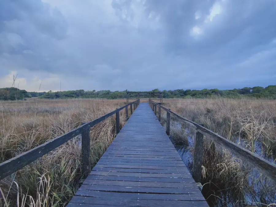 2025 12 17 Valencia 8