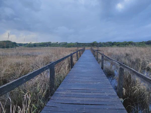 2025 12 17 Valencia 8