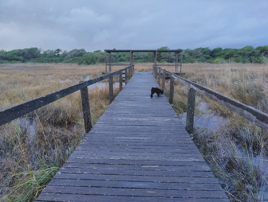 2025 12 17 Valencia 9