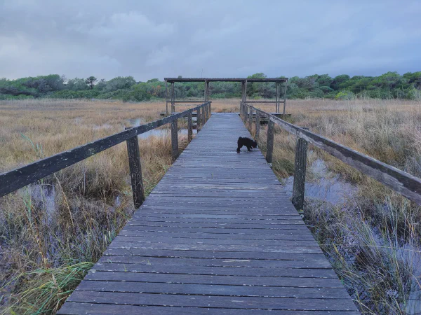 2025 12 17 Valencia 9