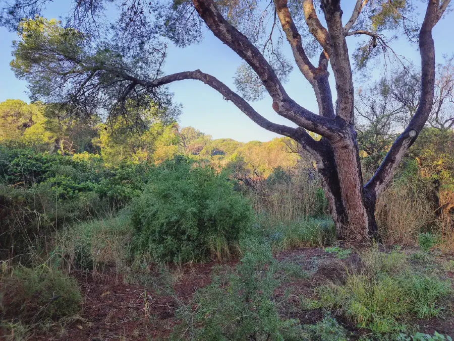 2025 12 18 Valencia 3