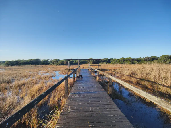 2025 12 18 Valencia 4