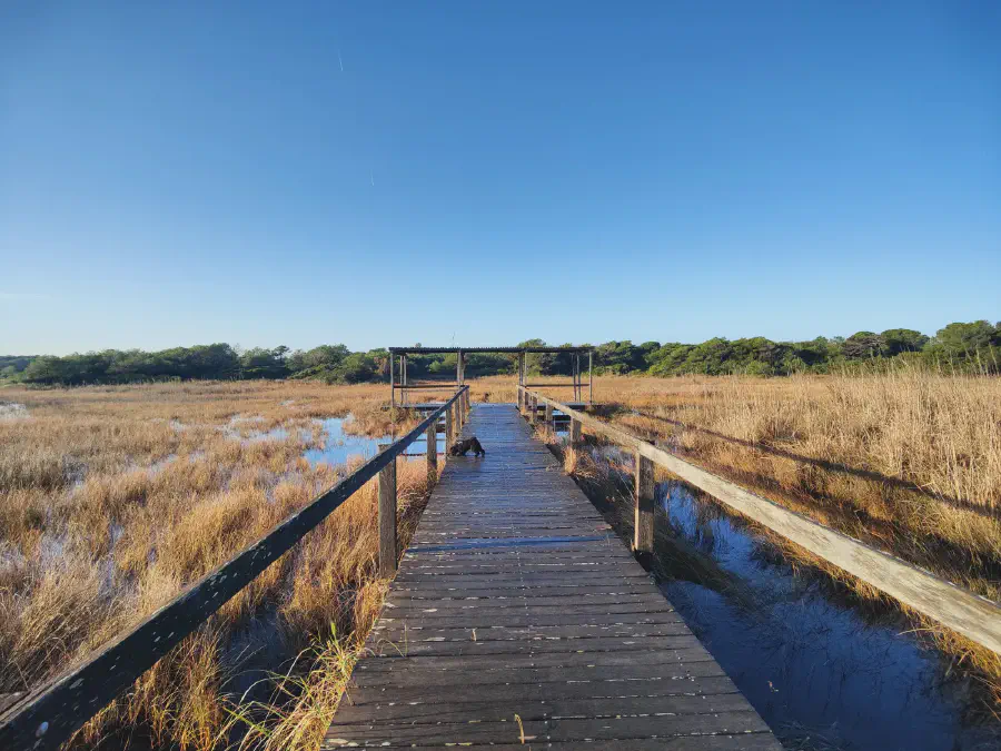 2025 12 18 Valencia 4