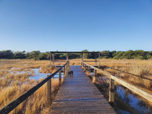 2025 12 18 Valencia 5