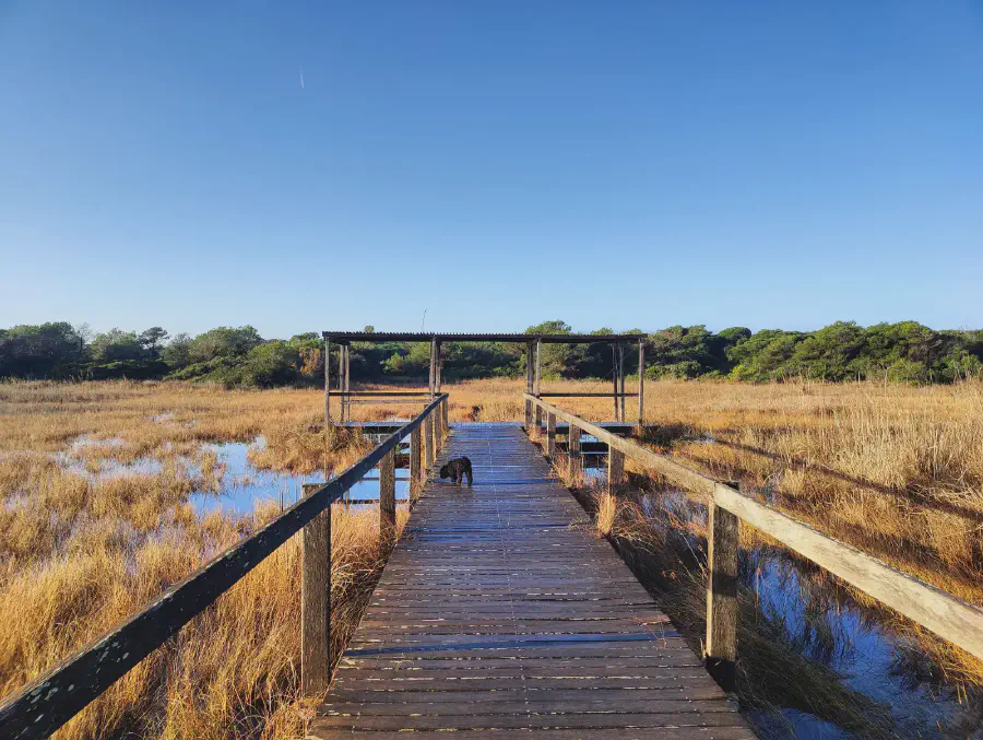 2025 12 18 Valencia 5