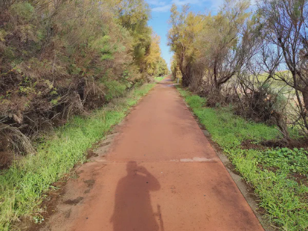 2025 12 18 Valencia 6