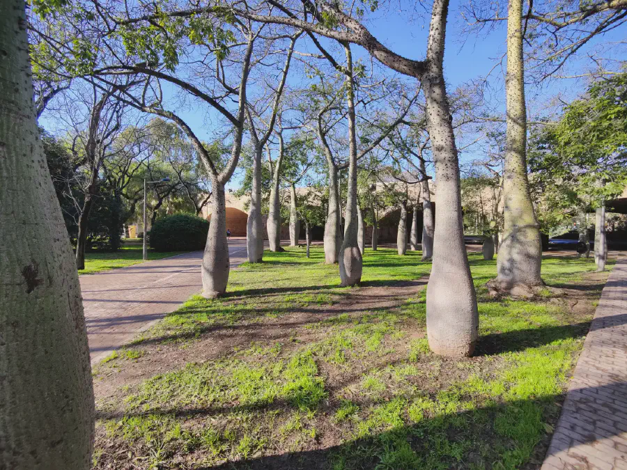 2025 12 18 Valencia 27