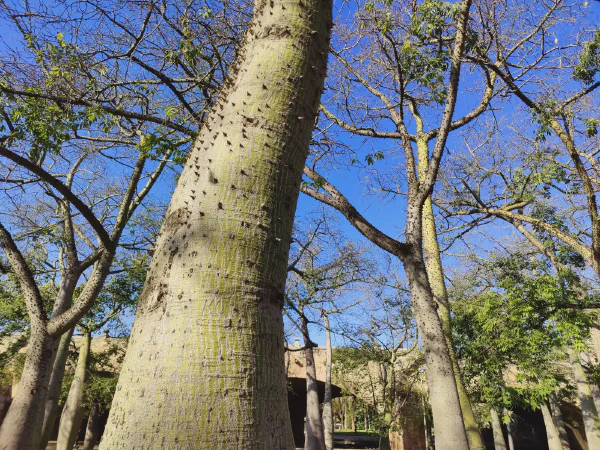 2025 12 18 Valencia 28