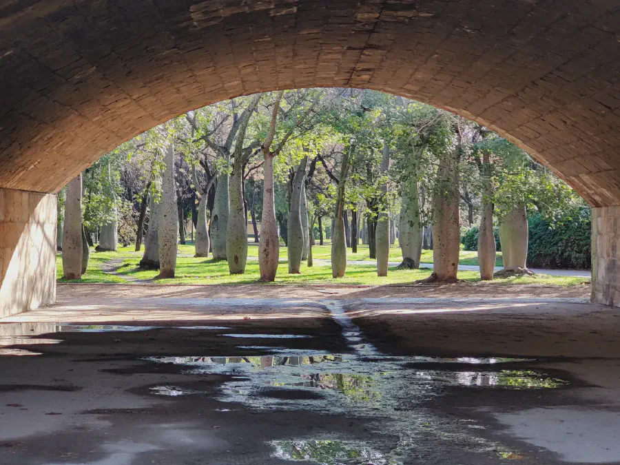 2025 12 18 Valencia 29