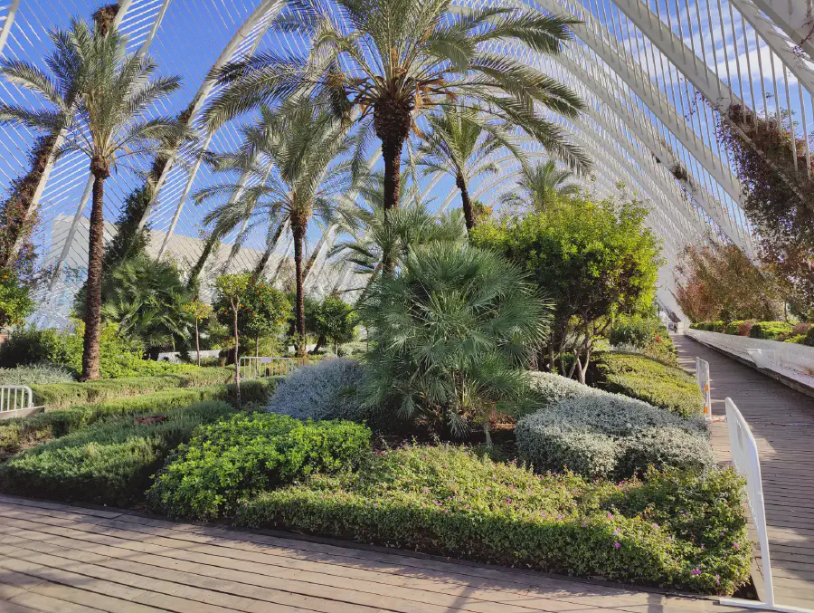 2025 12 18 Valencia 49