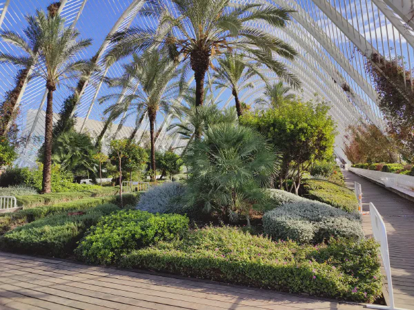 2025 12 18 Valencia 49