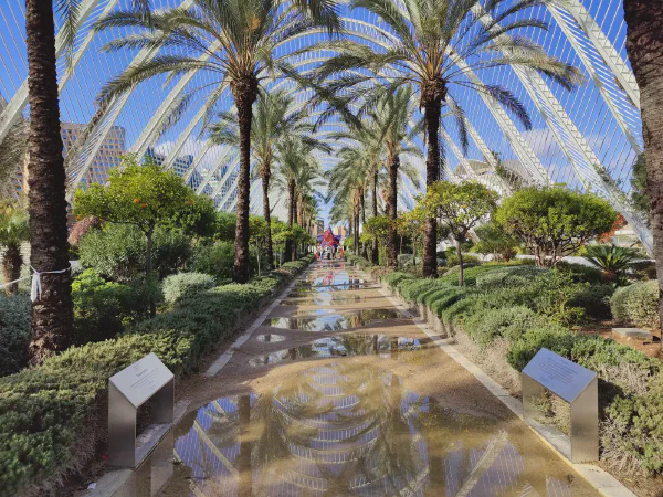 2025 12 18 Valencia 50