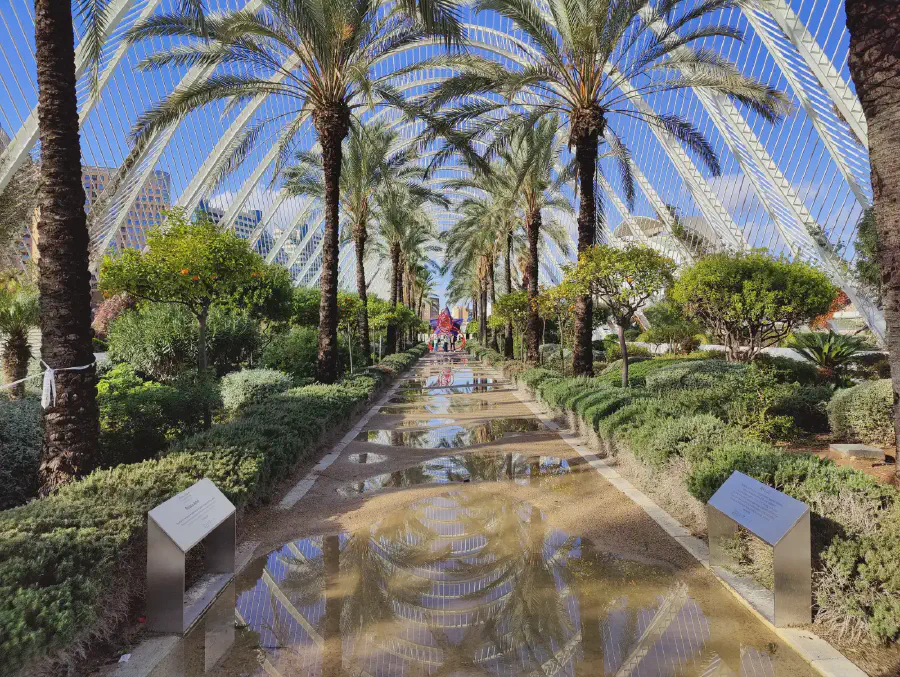 2025 12 18 Valencia 50