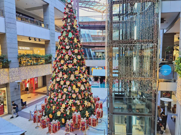 2025 12 18 Valencia 54